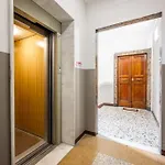 Cucchiari 3b Daire Modena