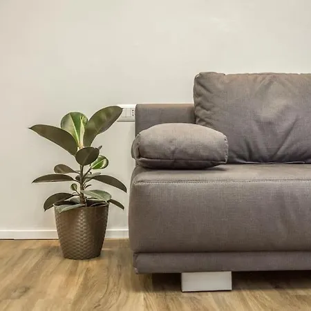 Cucchiari 3b * Modena